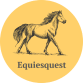 equiesquest